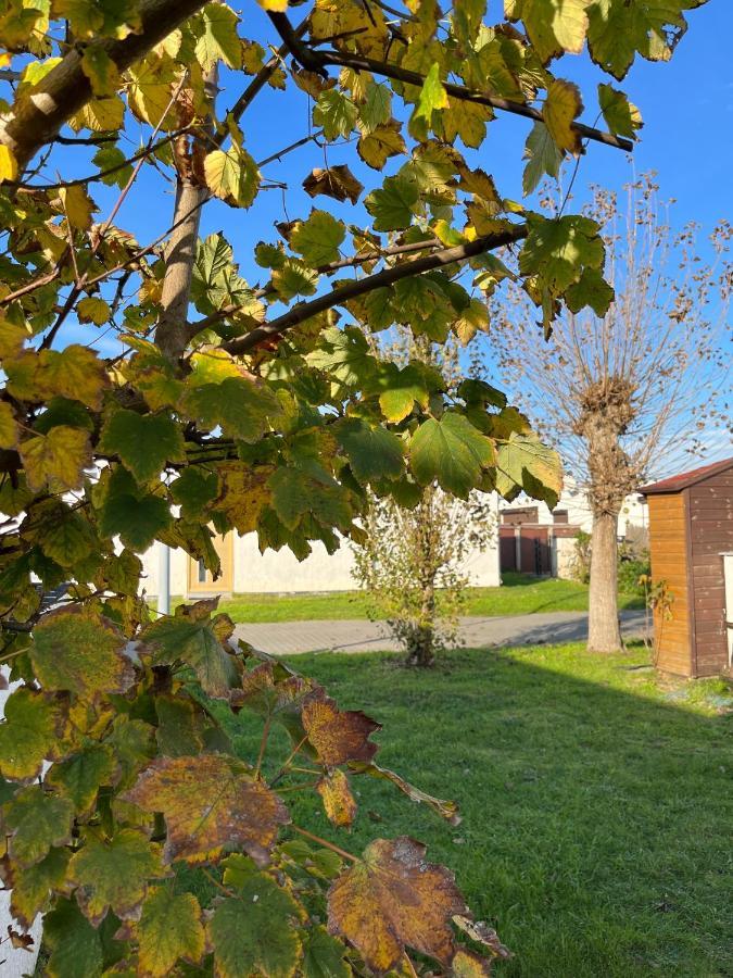 Vakantiehuisje38 Koksijde Kültér fotó